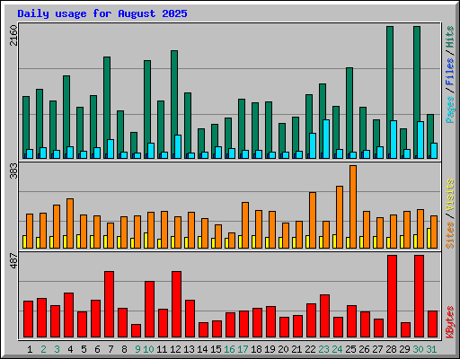 Daily usage for August 2025