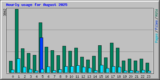 Hourly usage for August 2025
