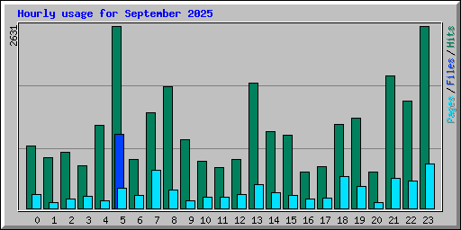 Hourly usage for September 2025