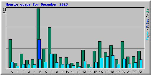 Hourly usage for December 2025