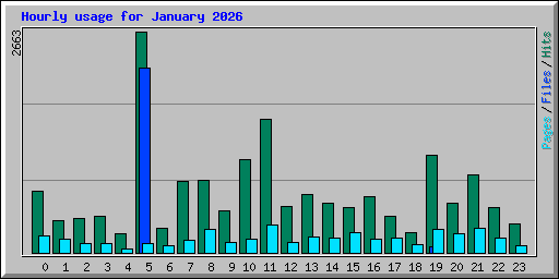 Hourly usage for January 2026